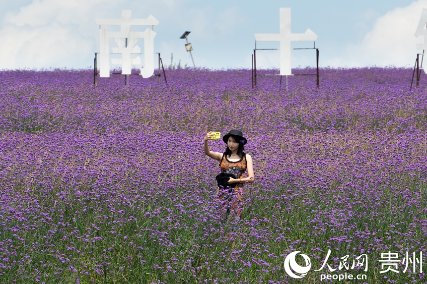 游人站在花田步道內拍照打卡。人民網 陽茜攝