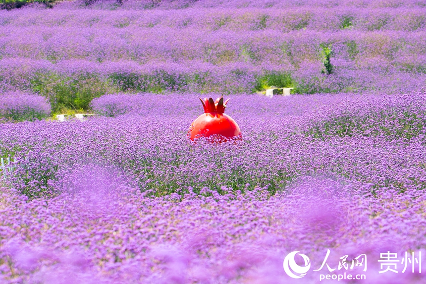 花海中擺放了打卡設施方便游人拍照。人民網 陽茜攝