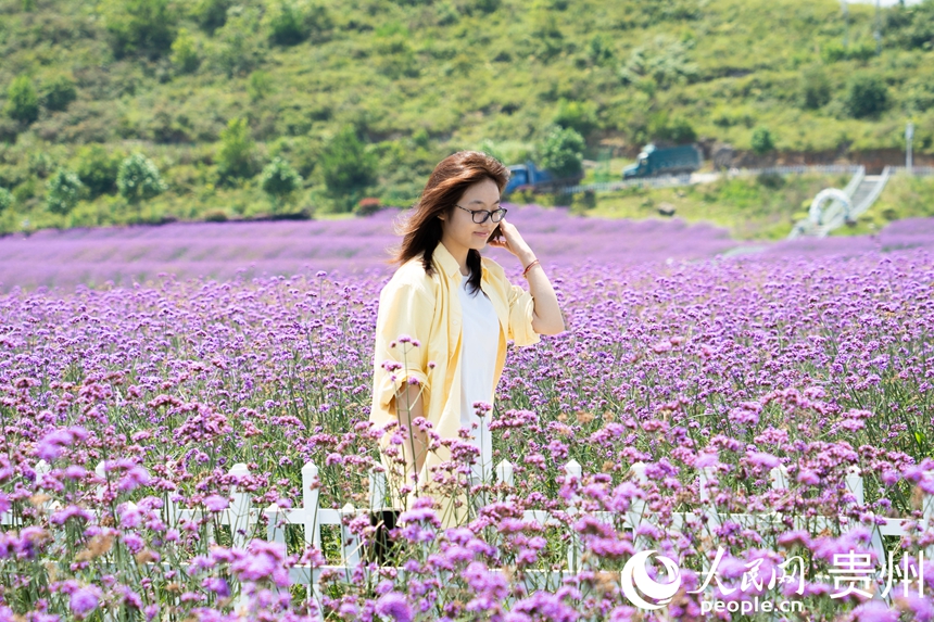 游人站在花田步道內拍照打卡。人民網 陽茜攝