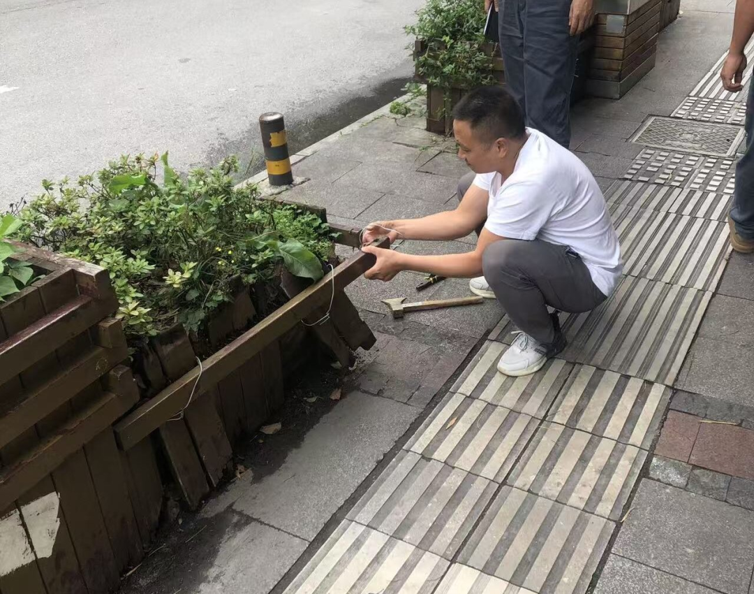 西秀區園林局消除安全隱患 提升城市品質。