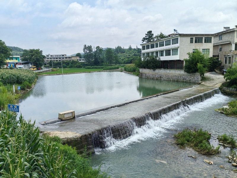 香巴湖一角。