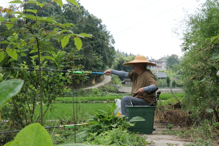 避暑客釣魚 鄭孟庭攝.jpg