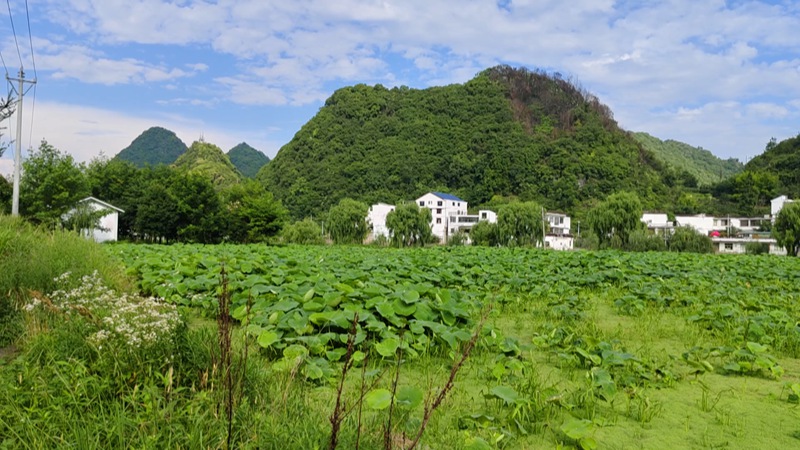 羊場(chǎng)村。