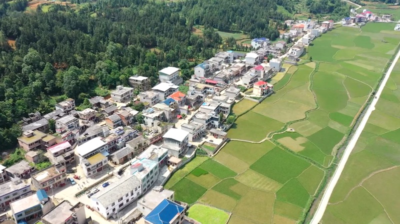 西秀區東屯鄉。