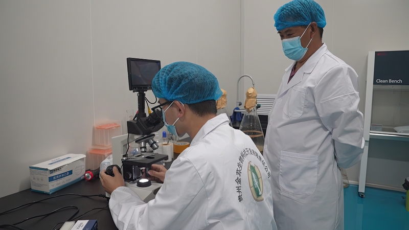 科研人員正在進行實驗。