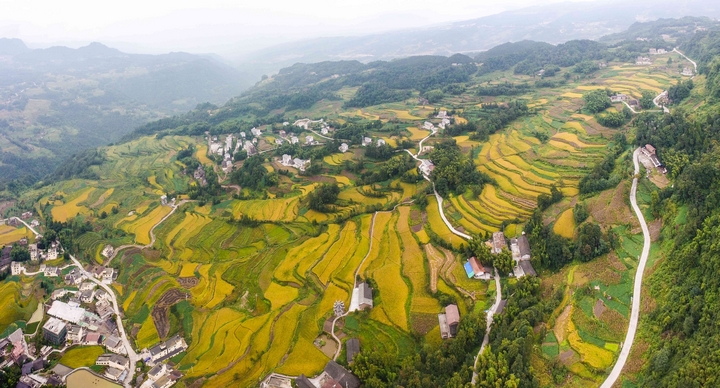 靈仙河梯田。習水縣融媒體中心供圖.jpg