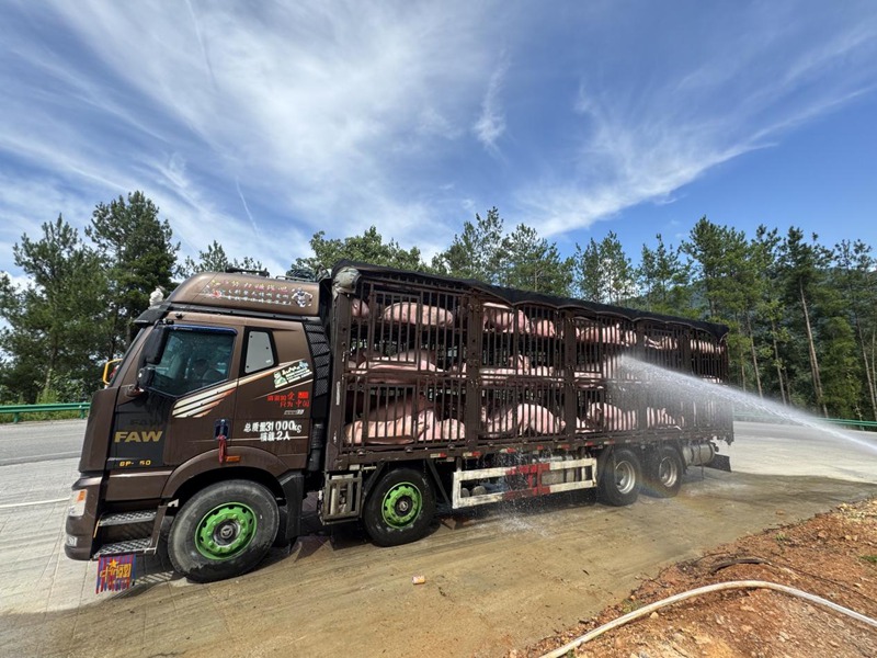 緊急噴淋降溫。