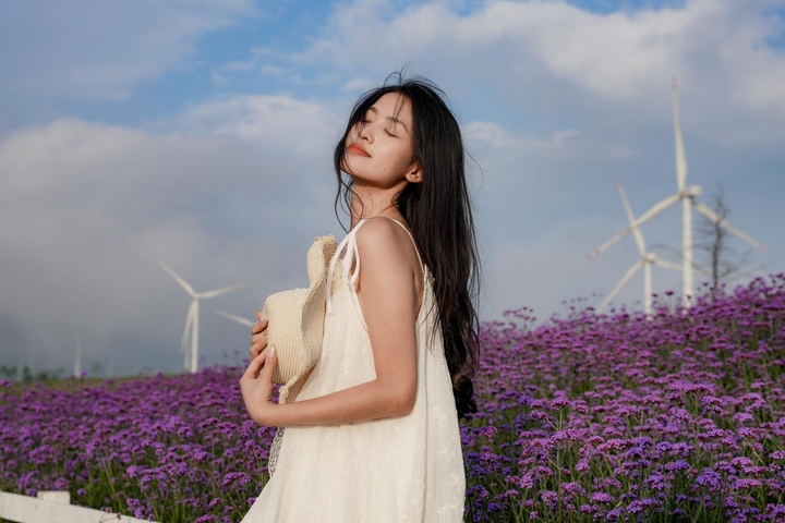 云頂花海花漾大片。