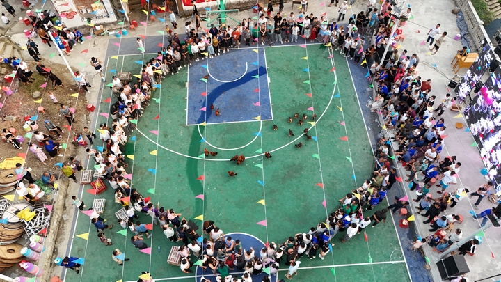 劍河縣平鳥村“吃新節(jié)”活動(dòng)中，群眾在參加蒙眼抓雞鴨游戲。姜澤光 攝.JPG