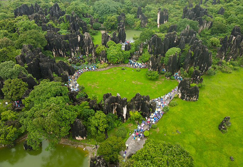雨后的石林美如畫。石林風景名勝區管理局供圖