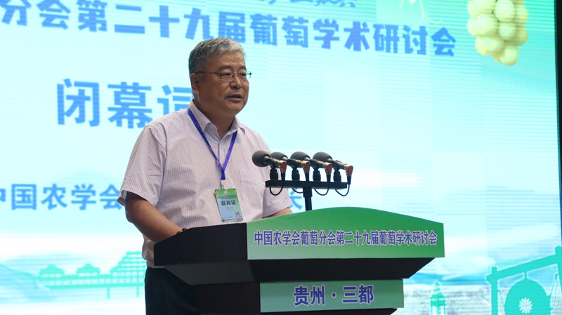 現場作分享交流。