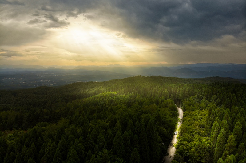 盛夏，七星關區拱攏坪國有林場綠意盎然，景色怡人。文杰攝
