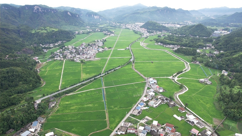 松桃烏羅鎮：田疇沃野展新姿 萬畝機械新“稻”路。