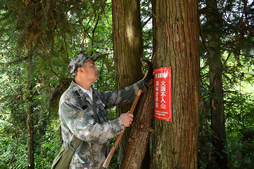 姚克禮在巡林。