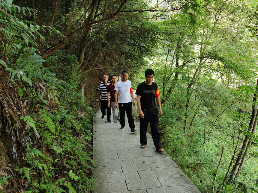 林業干部到南泉山開展巡林護林。