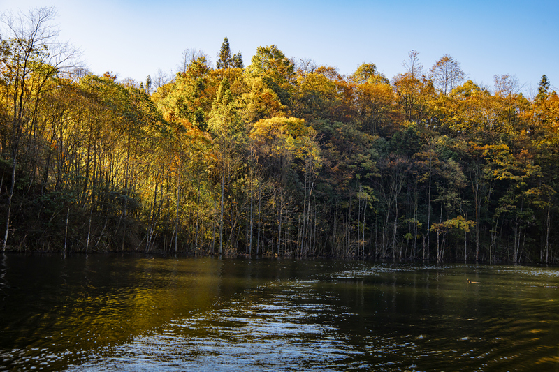 壯美大沙河。