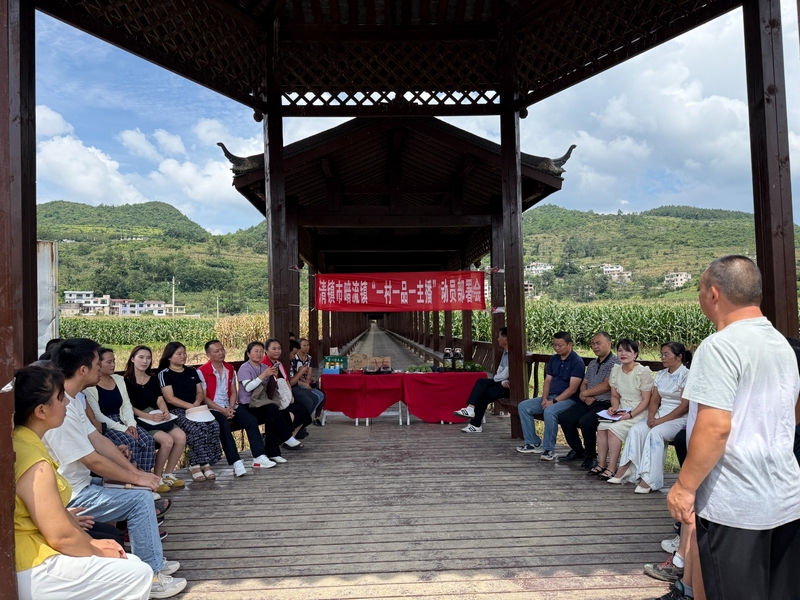 暗流鎮(zhèn)召開“一村一品一主播”動員部署會暨選品會。  張弘揚 攝.jpg