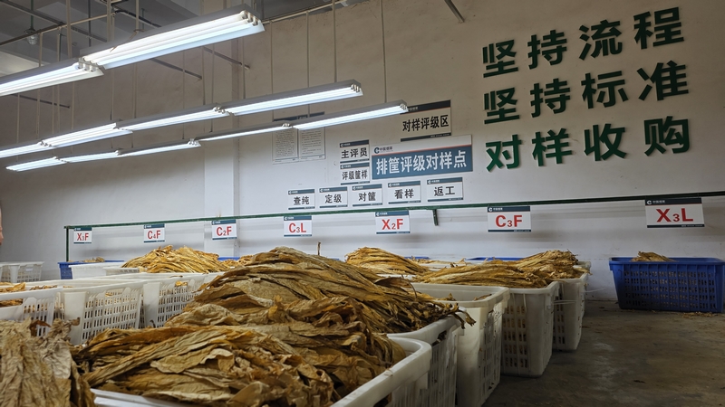 排筐定級(jí).jpg