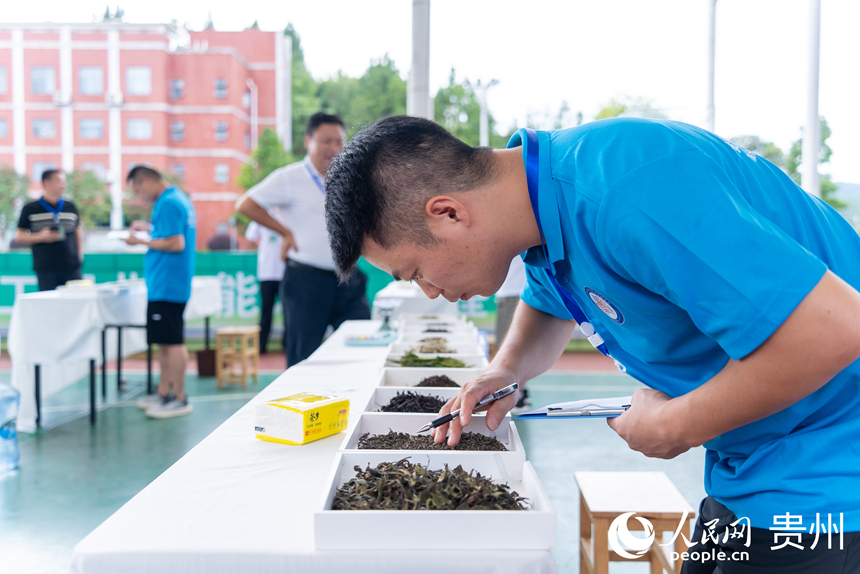 評茶師比賽現(xiàn)場。人民網(wǎng)記者 涂敏攝