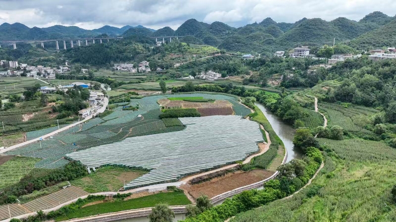 暗流河畔的葡萄園。沈建華 攝.jpg