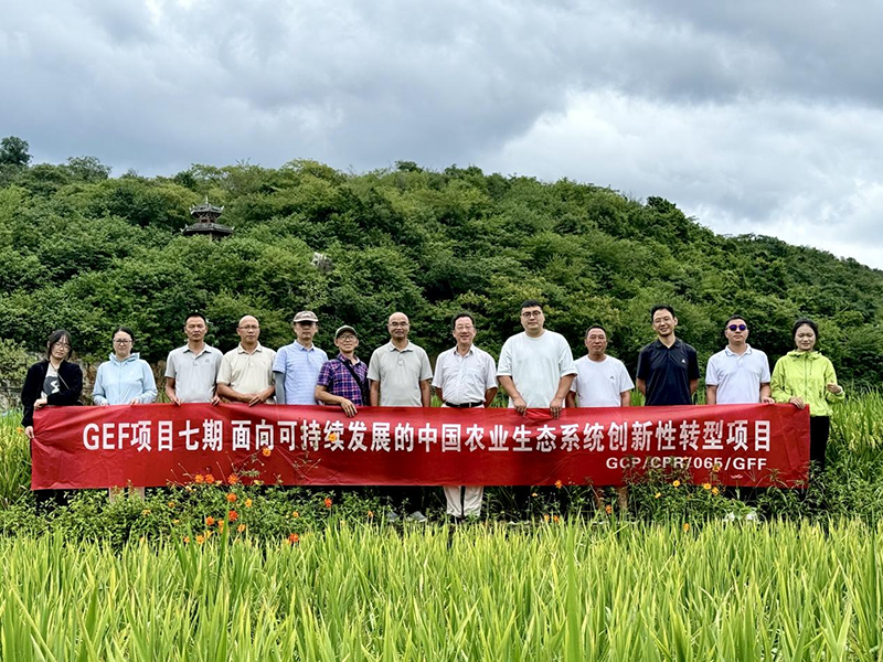 活動(dòng)現(xiàn)場。