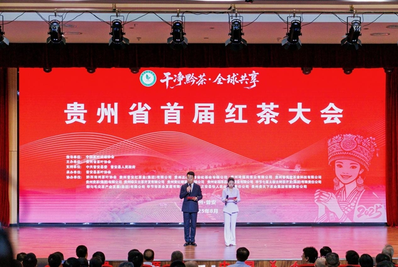 活動現場。主辦方供圖