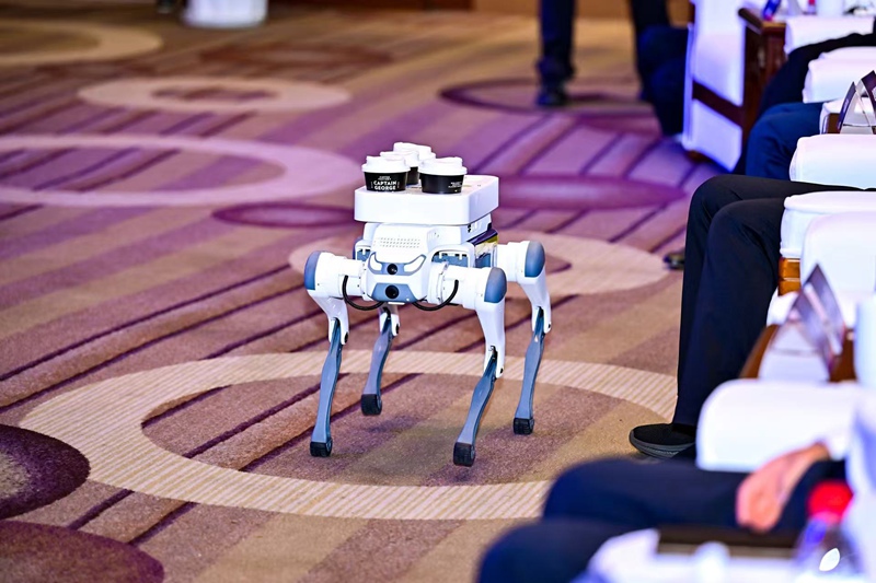 云深A(yù)I機器狗送咖啡。貴州大數(shù)據(jù)集團(tuán)供圖