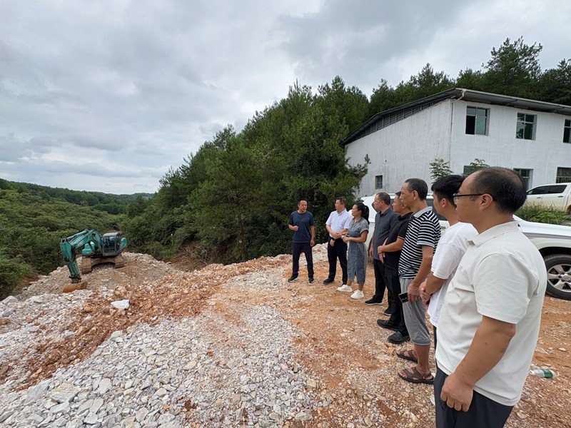 各相關部門到銅吉鐵路項目施工現場了解工作進度、協調征地相關工作。