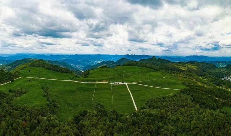 貴州銅仁：守護綠水青山 換得金山銀山。