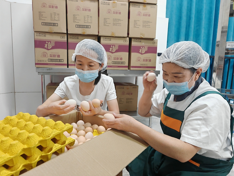 1、工作人員認(rèn)真檢查雞蛋品質(zhì)，把好食材驗(yàn)收關(guān)。謝永恒  攝.jpg