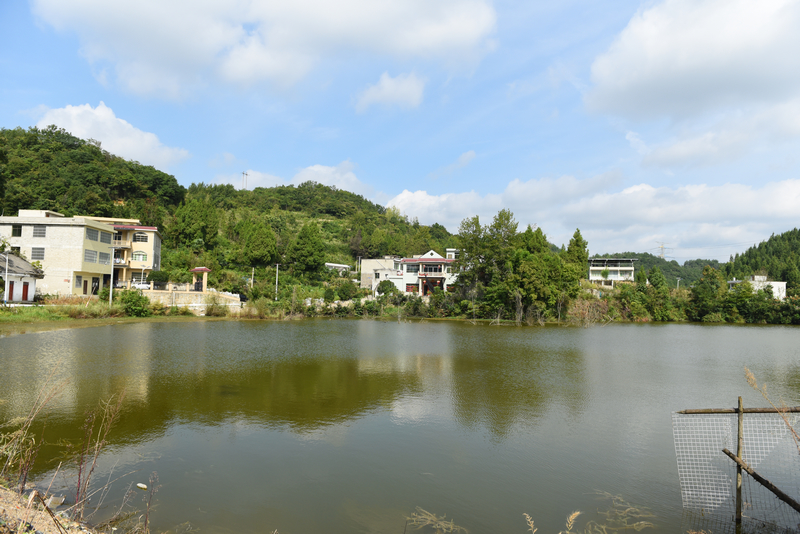 2025年9月4日，貴州省黔西市甘棠鎮大錫社區林角塘修復道路旁的垂釣池塘。張晶攝