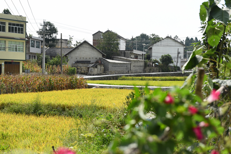9月4日，貴州省黔西市甘棠鎮大錫社區林角塘修復好的道路。張晶攝