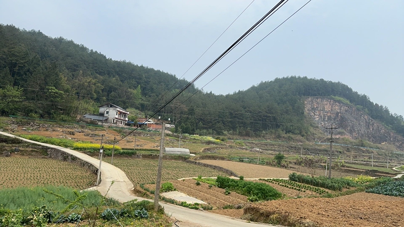 樂耕村上臺組。網友供圖