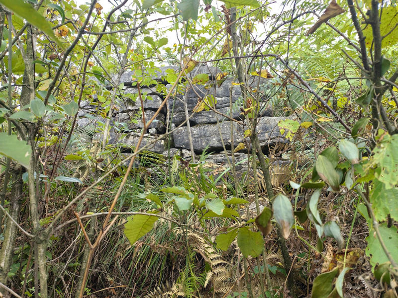 雙堡村古營盤石墻。姜繼恒攝