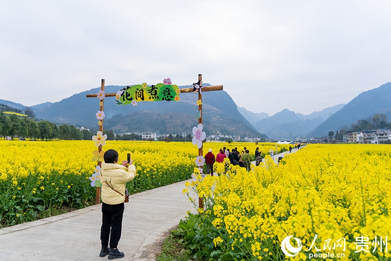 游客在桐梓縣官倉鎮(zhèn)油菜花田中打卡拍照。人民網記者 涂敏攝.jpg