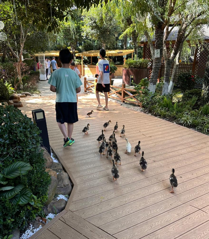 貴陽鉑爾曼大酒店新場景點燃南明秋季文旅市場。