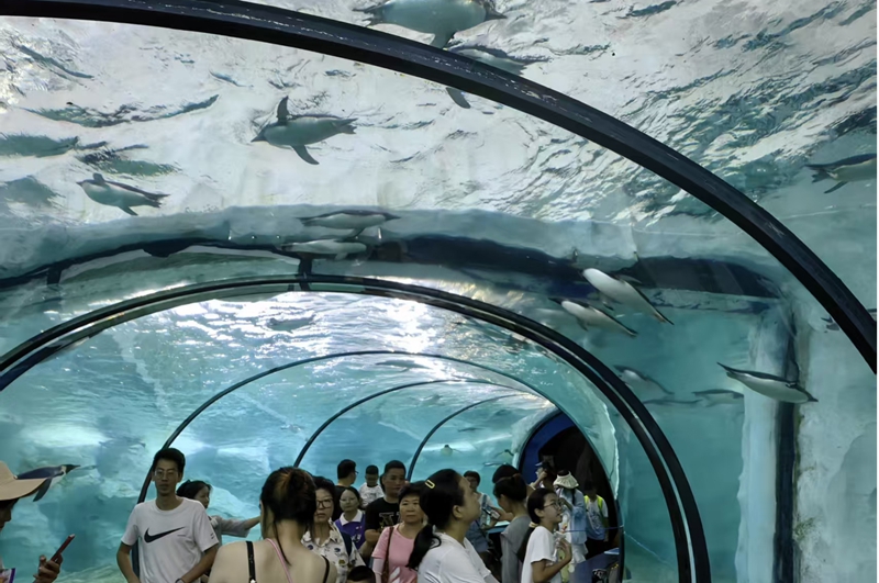 3 圖為在該行的金融支持下，昔日的海洋公園已煥發勃勃生機。.jpg