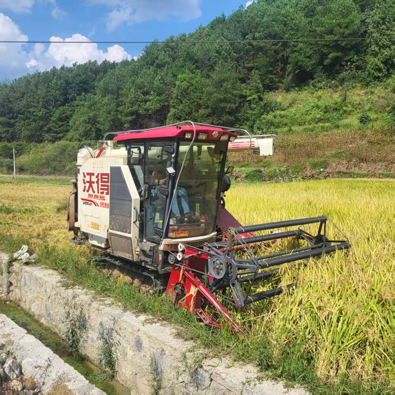 1、機械化水稻收割。.jpg