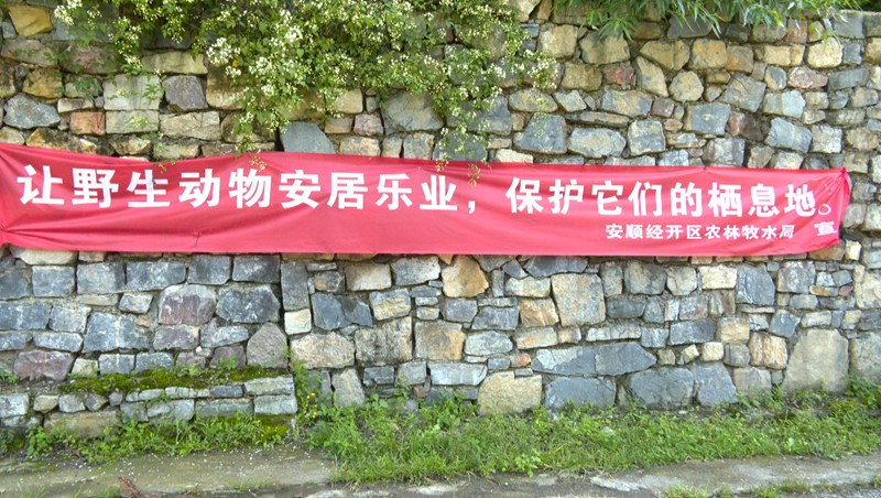 安順經開區多部門聯合開展野生鳥類保護專項行動。