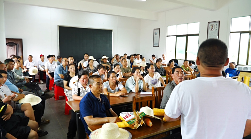 田間地頭選良種 技術培訓促增收。