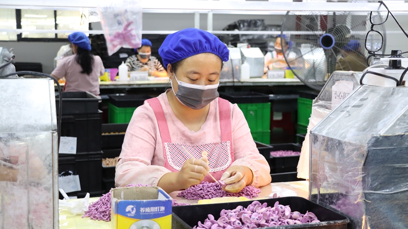 抓質量、保訂單 貴州獨山定制玩具生產熱潮持續升溫。