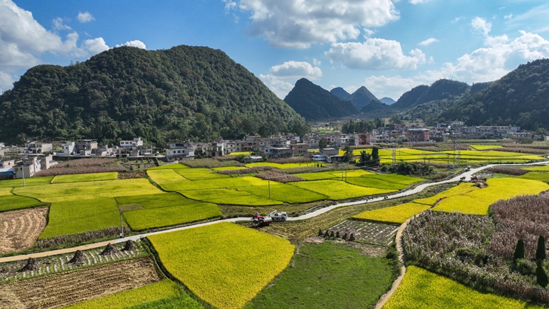 右七村。