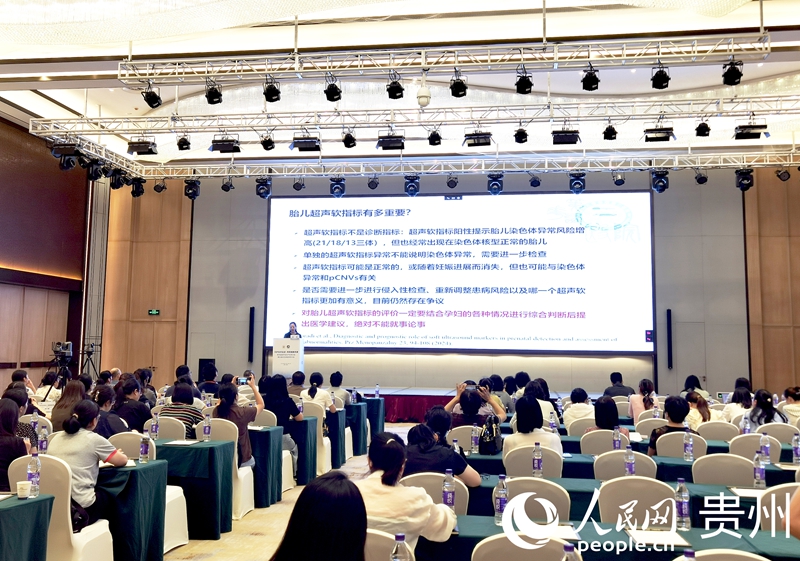 專家學者進行授課。人民網記者 王秀芳攝