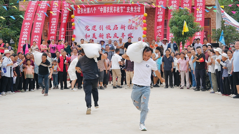 村民們正在進行高粱負重接力賽，扛起沉甸甸的高粱，健步如飛。