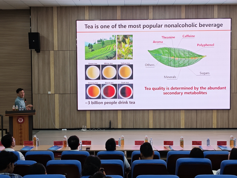 活動現(xiàn)場。貴州大學(xué)茶學(xué)院供圖