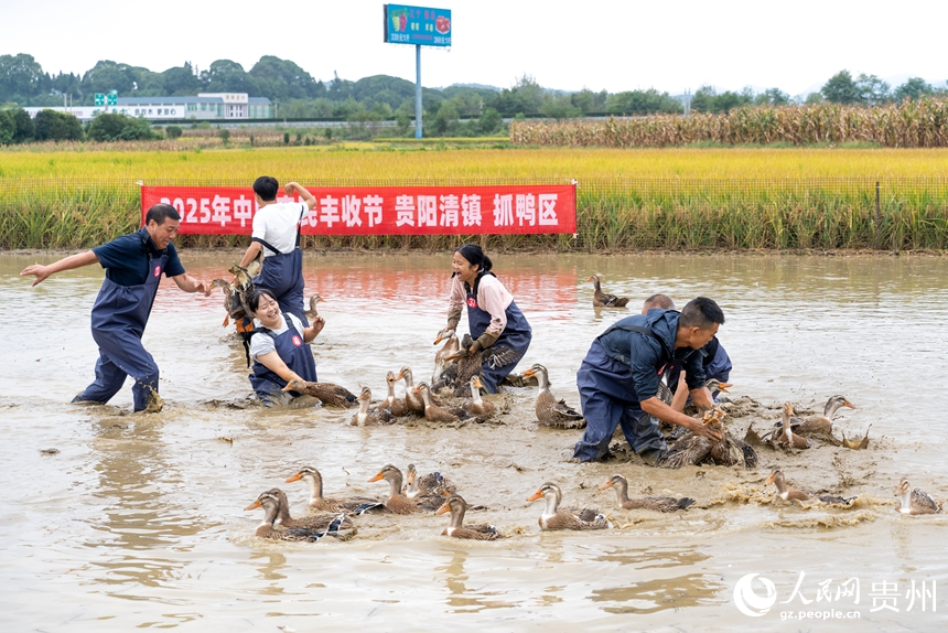 參賽選手在水中追逐鴨子。人民網(wǎng)記者 涂敏攝