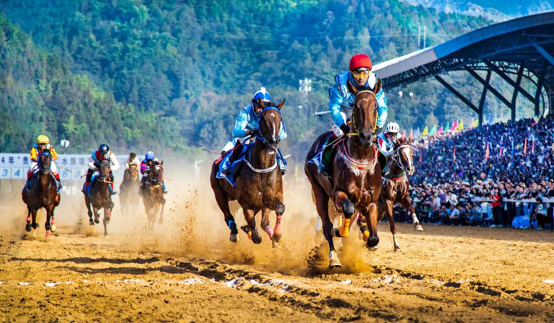 賽馬。