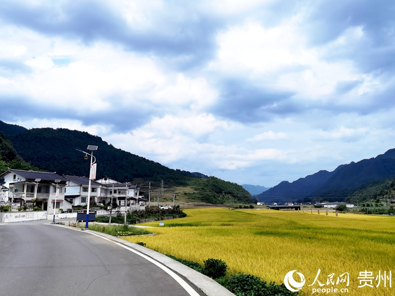 黃魚村一隅。人民網記者 王秀芳攝