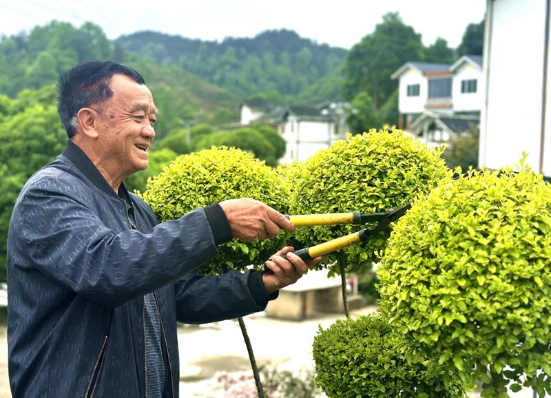 村民正在打理自家庭院。湄潭縣融媒體中心供圖