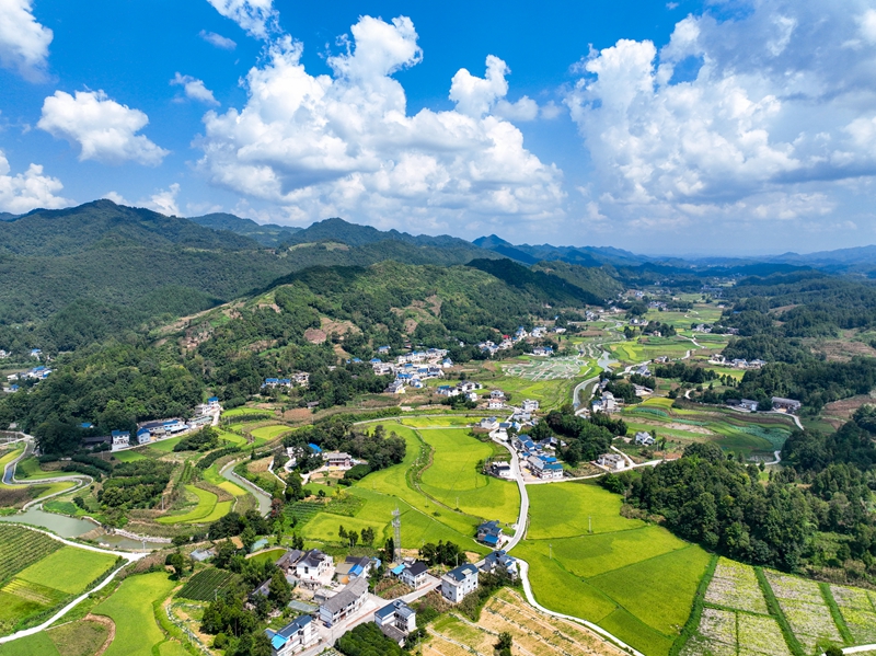 航拍朝陽村。鳳岡縣融媒體中心供圖